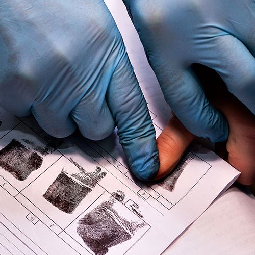 Immigration & Detention Bond